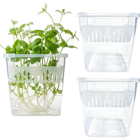 für die Hydroponik 3 Stücke Transparente Pflanzentöpfe für