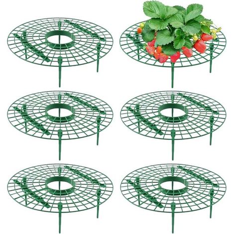 Soportes y base de cultivo para fresas, 6 soportes de plástico verde enchufables para fresas, verduras y orquídeas. (1/5)