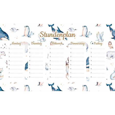 Fiche pédagogique magnétique sur les animaux polaires 30 x 17,5 cm