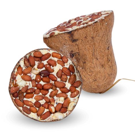 8 pcs. Cloche d'alimentation Lyra Pet® avec cacahuètes