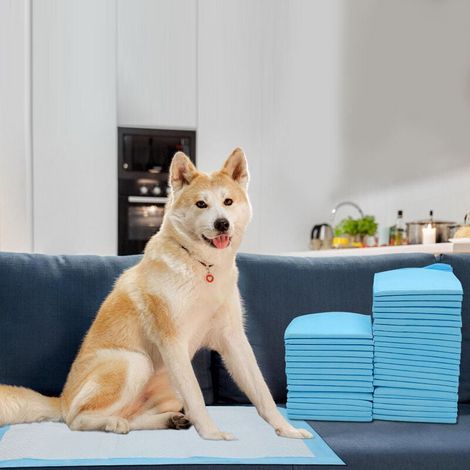 40X Tapis pour chiots Puppy absorbant Tapis de toilettes pour chiens 60x60CM (1/5)