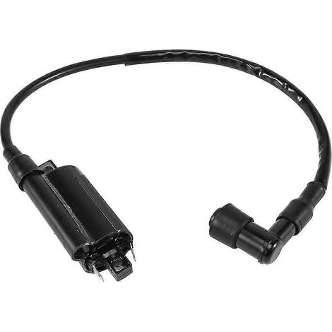 Bobines d'allumage pour motos Yamaha GS125 GN125 VX250 Virago 1100 XV1100 XV-1100 (1995-2007) (1/4)
