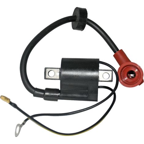 Ignition coil for outboard motor compatible with Yamaha 66T-85570-00 (1/5)