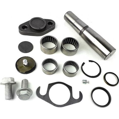 Kit de reparación de pivote Iveco (1 pc)  1904697, 7.92002