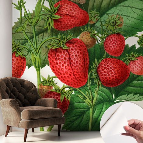 Papier peint adhésif décoratif avec colle pour salon chambre et bureau Installation rapide Fruits d'été 250x250 cm (1/5)