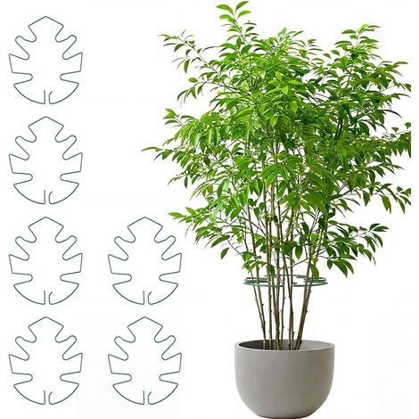 Tuteur Plante Interieur,6 Pièces Monstera Plant Support Plante Tuteurs pour Plantes Supports Tiges Plantes Anneau de Support de Plante Tuteur Plante Grimpante (1/5)