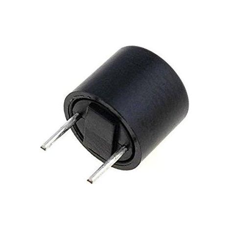 Fusible miniature à fusion lente Rft-0,500ma R5.08mm Rft-0.5a