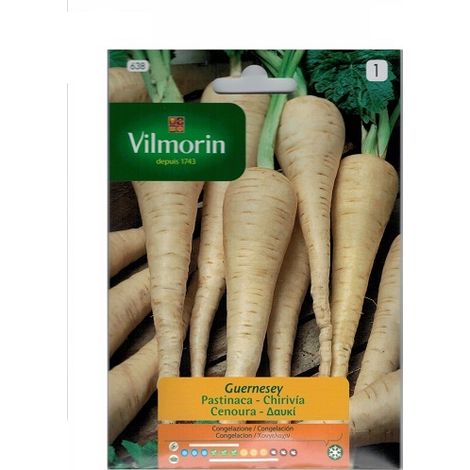 ChirivÐ Samen Guernesey Vilmorin 7g