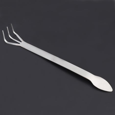 2-in-1 Outil de Bonsaï en Acier Inoxydable : Râteau à Racines et Spatule de Jardinage (1/5)