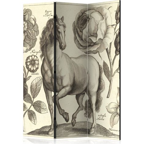 Paravent 3 Volets "Horse" 135x172cm (1/2)