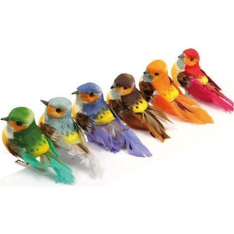 6 OISEAUX COULEUR SUR PINCE - 8X3,5X3,5 CM (1/4)