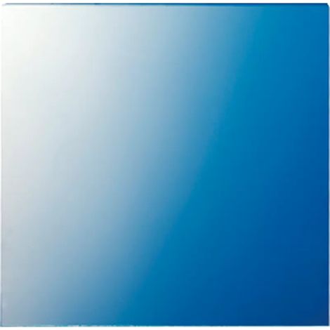 Jung Scheibe 62,5x61x1mm 61 GL