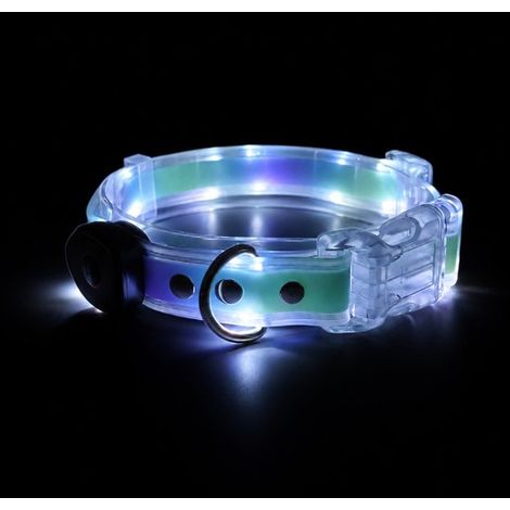 Collier LED réglable pour chien – Rechargeable USB – Promenade nocturne – Résistant à l'eau (1/5)