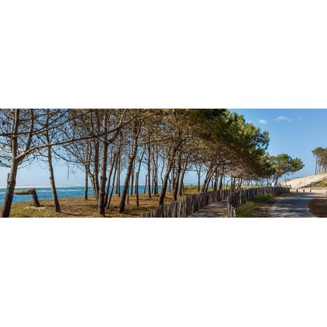 Tableau sur toile arbres d'Arcachon 30x97 cm - Impression sur Toile Murale Décorative - Image imprimée en HD sur Toile - Toile sur Châssis en Bois FSC - Fabriqué en France (1/4)