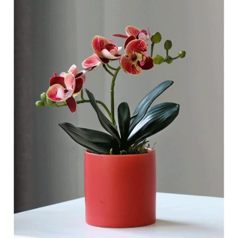 Fleurs de Plantes artificielles, Simulation Phalaenopsis Petite en Pot, Salon de Bureau Décoration de Bureau Fausses Plantes Vertes