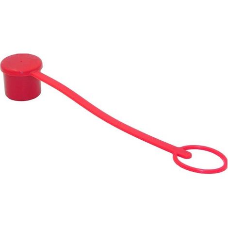 Tapón de desconexión en seco de 3/4" (1/4)