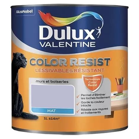Dulux Valentine Peinture acrylique Color Resist Violet minéral Mat 1 L