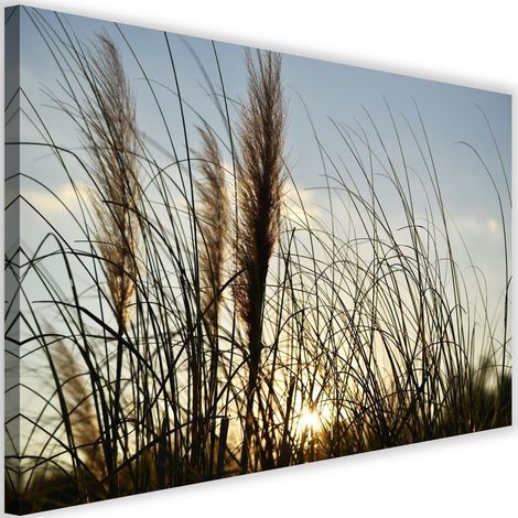 Tableau sur toile Roseaux Nature Lac 60x40 (1/5)