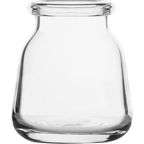 Vase Bouteille de Lait en Verre pour Fleurs séchées ou artificielles et Verdure, 10,6 x 10,6 x 12,9 cm, Transparent (1/5)