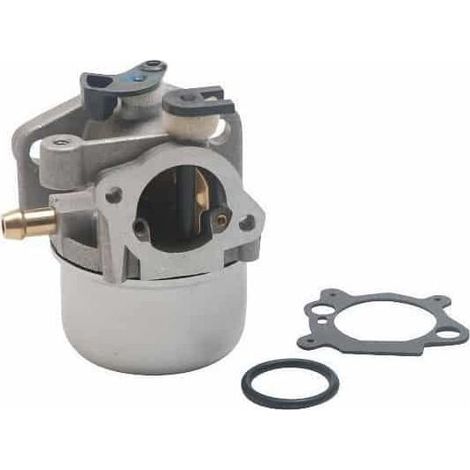 Carburateur adaptable BRIGGS et STRATTON 799871 – Pour moteurs Quantum – Performance optimisée pour outils électroportatifs (1/3)