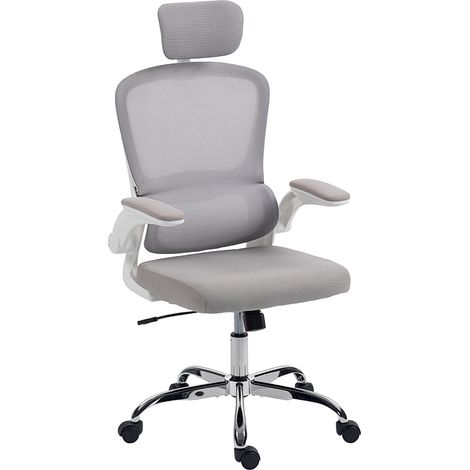 Mesh Back Office Chair, Lumbar Support - Grey (1/5)