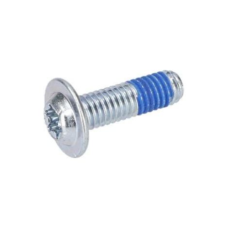 Vis a tete bombee torx pour Marteau a percussion BOSCH OUTILLAGES - 1613490010