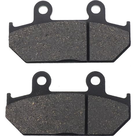 Plaquettes de frein FA124 compatibles avec Aprilia RS125/250, Honda CBR750 / Canyon (1/4)