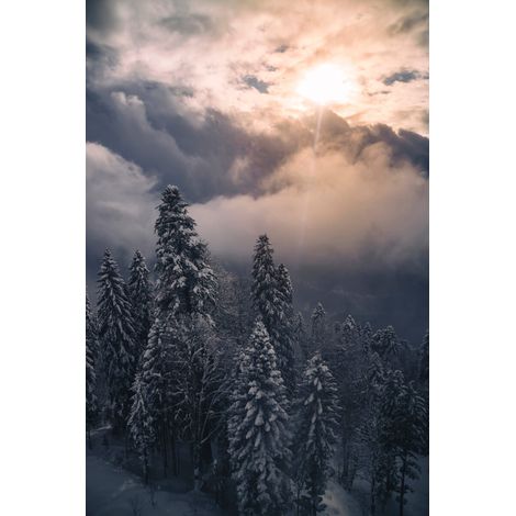 Tableau sur toile sunset forêt 45x65 cm - Impression sur Toile Murale Décorative - Image imprimée en HD sur Toile - Toile sur Châssis en Bois FSC - Fabriqué en France