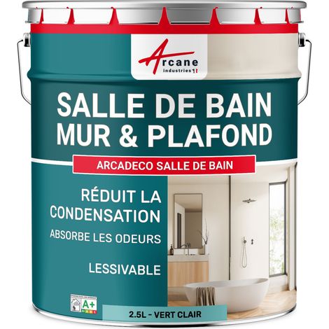 Peinture salle de bain, mur et plafond, condensation - 2.5 L Vert clair - RAL 6027 - ARCANE INDUSTRIES (1/5)