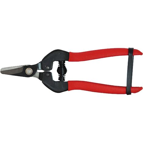 ProGarden forbici cogliuva 16 cm con lama dritta in acciaio impugnatura antiscivolo chiusura in gomma
