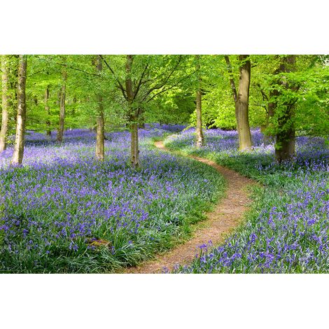 Papier peint panoramique foret vert et violet | Tapisserie panoramique floral lavande idéal salon | Papier peint panoramique nature escaliers - 267 x 400 cm (4 pièces) (1/2)