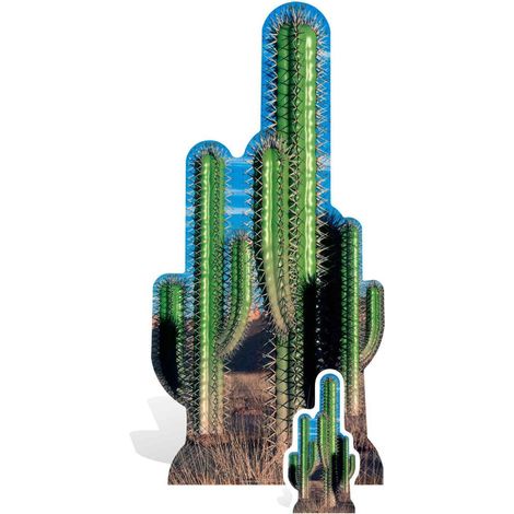 Figurine en carton Groupe de cactus 152 cm (1/4)