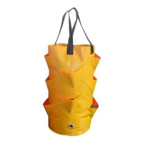 PE Hanging Strawberry Bag Flower Plant Hanging Basket Overhead Gardening Planting Bag (1/3)