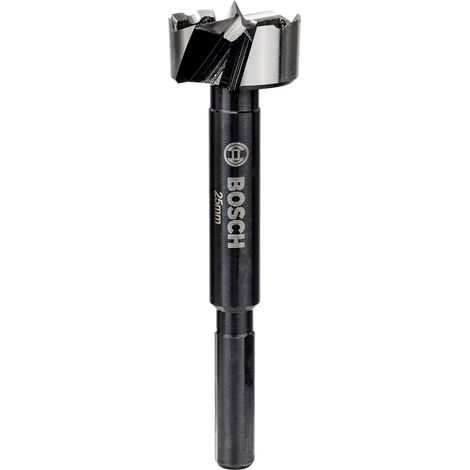 Bosch Professional 260925C141 Punta Forstner, Accessorio Trapano, Ø 25 mm