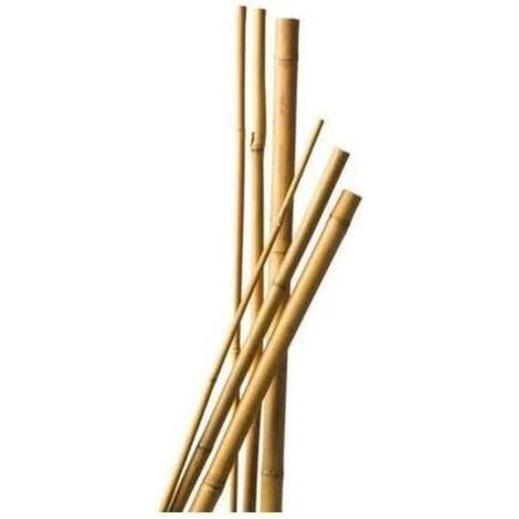 Lot de 10 Tuteurs Bambou 120 cm diam 6-8 mm (1/2)