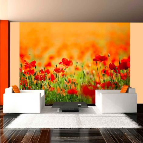 Papier peint coquelicots, beaux jours d'été - 300 x 230 cm (1/4)