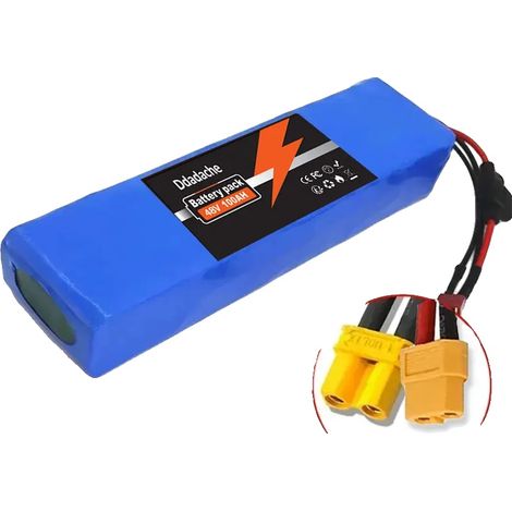 Batterie Lithium-ion, Capacité 100Ah, Compatibilité Système 48V, XT30-XT60 (1/2)
