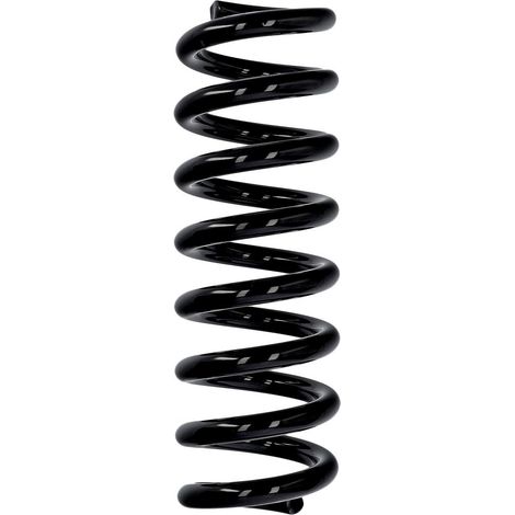 Molla posteriore Eibach ERL per Mercedes-Benz R10386 (1/2)