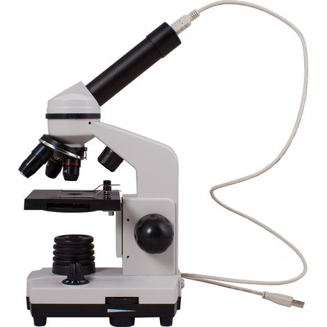Microscope numérique Levenhuk Rainbow D2L 0.3M, Pierre de Lune (1/5)