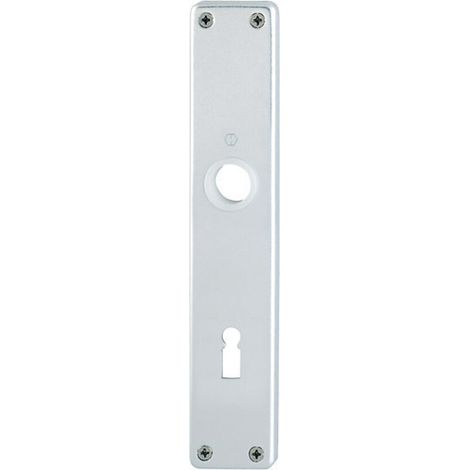 HOPPE ZT-Langschild London,202SP,BB,E72 sichtbar verschraubt naturfarben eloxiert (1/4)