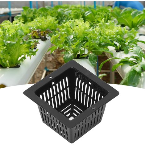 Lot de 50 pots carrés hydroponiques sans terre pour la culture de fleurs et de plantes (noir) (1/5)