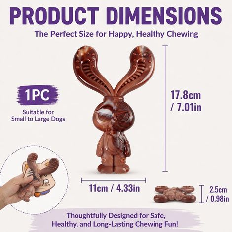 Indestructible Dog Chew Toy - Durable Beef Flavored Toy Made of Strong Nylon for Medium and Large Dogs - Helps with Teeth Brushing and Oral Cleaning (1/5)