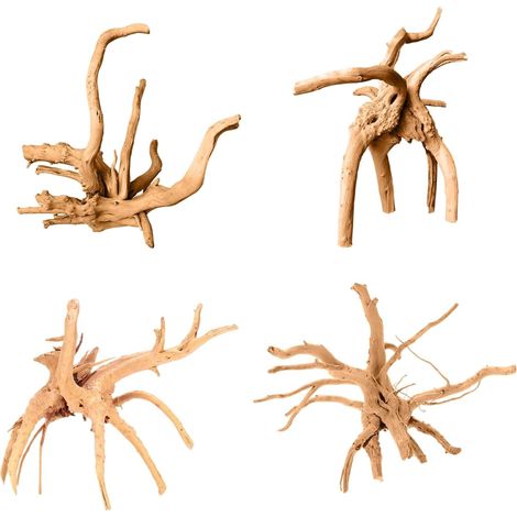 Bois flotté naturel pour aquarium et terrarium, décoration racine d'arbre pour aquascaping, décor naturel pour poissons et reptiles (1/5)