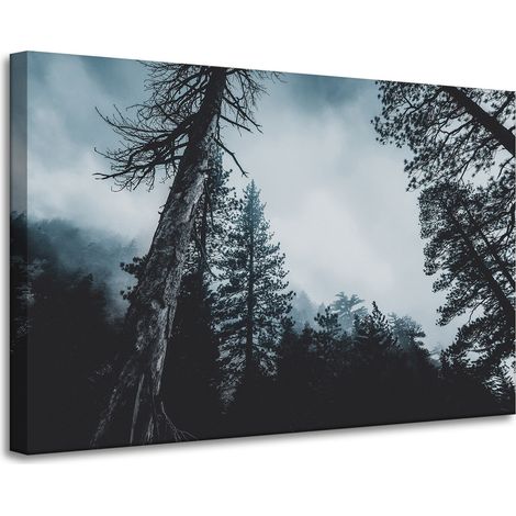 Lienzo impreso Naturaleza Copas de los árboles 90x60 cm