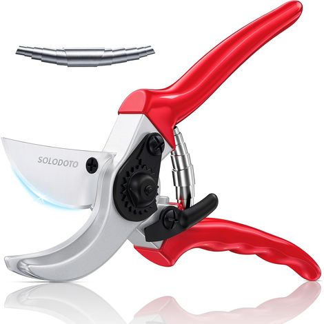Sécateur à lames croisées SK5 de 21,5 cm pour le jardinage, lames 4 fois plus tranchantes, sécateur professionnel, cadeau idéal pour femmes et hommes, fabrication japonaise-AquaForge (1/5)