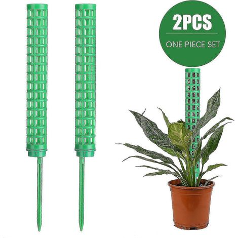 Lot de 2 tuteurs en mousse de coco, pour plantes grimpantes d'intérieur. (1/5)