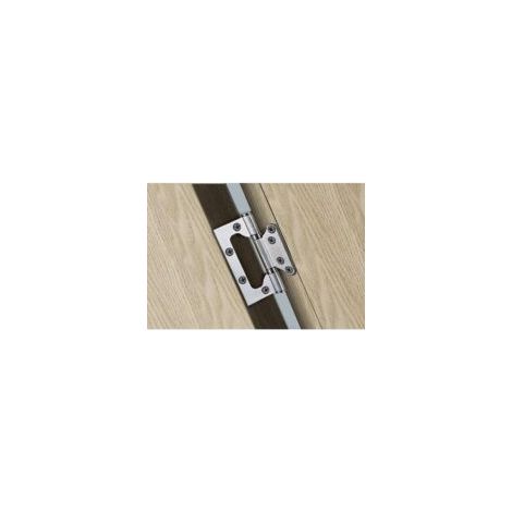 2 Stück Türbänder aus Edelstahl, Kugellagerbänder für Haustüren, Schlafzimmertüren, 100 mm x 35 mm, geräuschlos - Crezuo