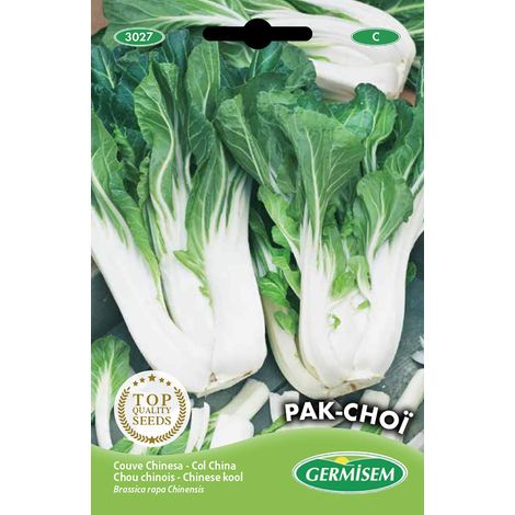 graines Chou chinois PAK-CHOÏ
