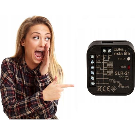 Zamel, LED-Controller SLR-21 - 4-Kanal - 12–24V - Flexibles Dimmen - Fernbedienung möglich (1/5)