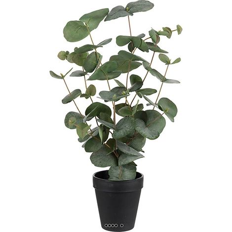 Eucalyptus artificiel en pot H 55 cm (1/3)